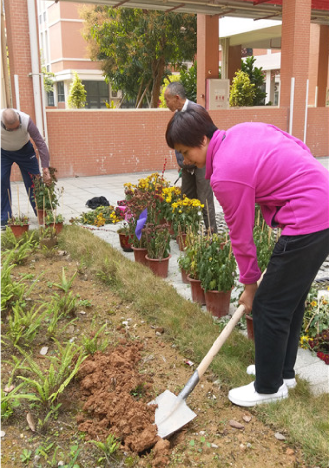 图2：党员志愿者将有种植价值的年花年桔种到绿化带.jpg